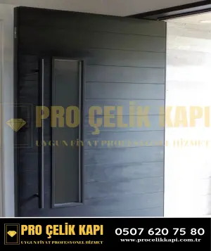 Kadıköy Pivot Kapı - Model 38